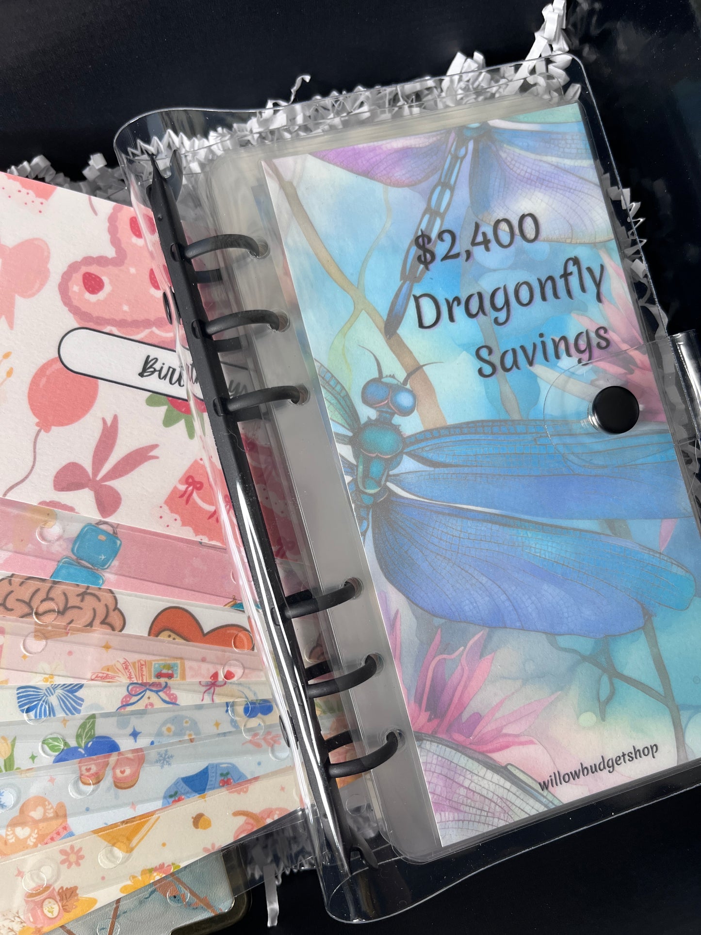 $2,400 Dragonfly Savings Challenge