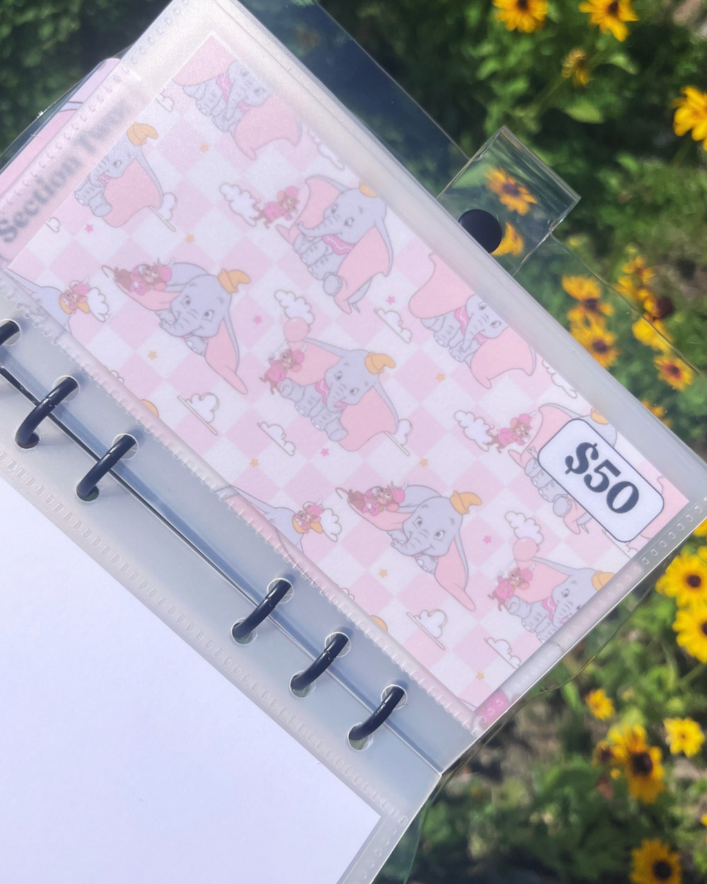 Dumbo Savings