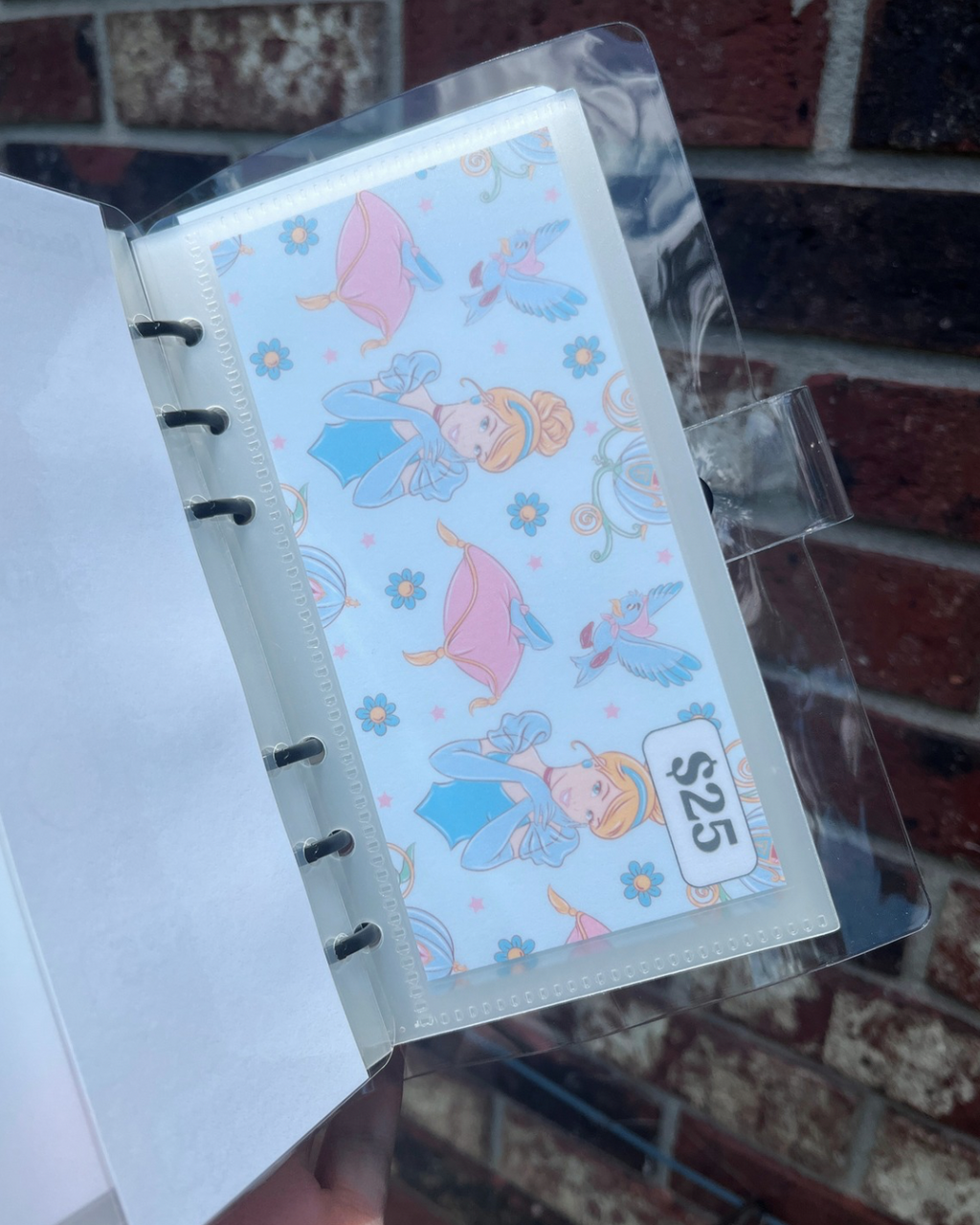 Cinderella Savings