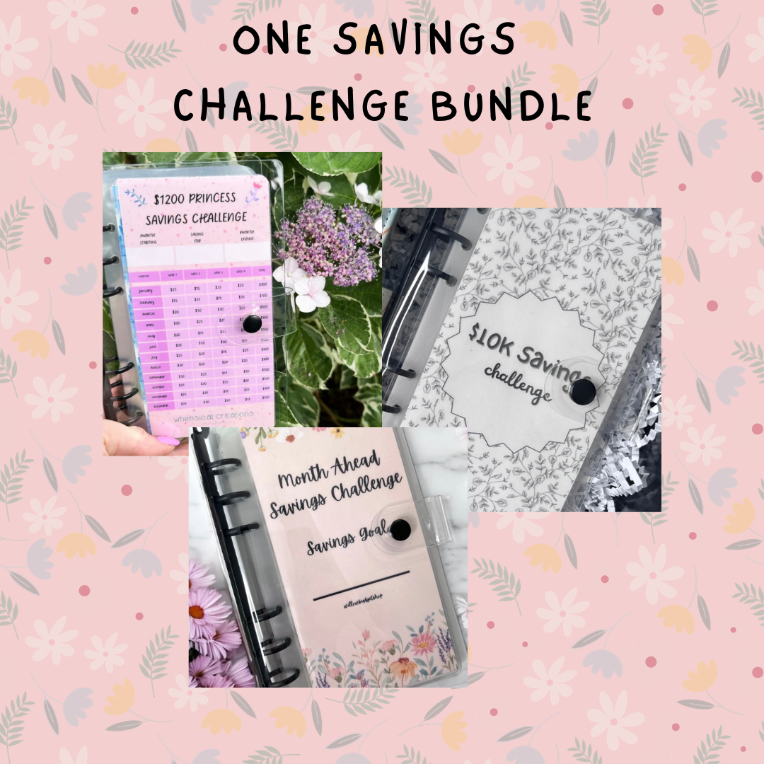 Cash Budgeting Blind Bags (FREE SHIPPING!)