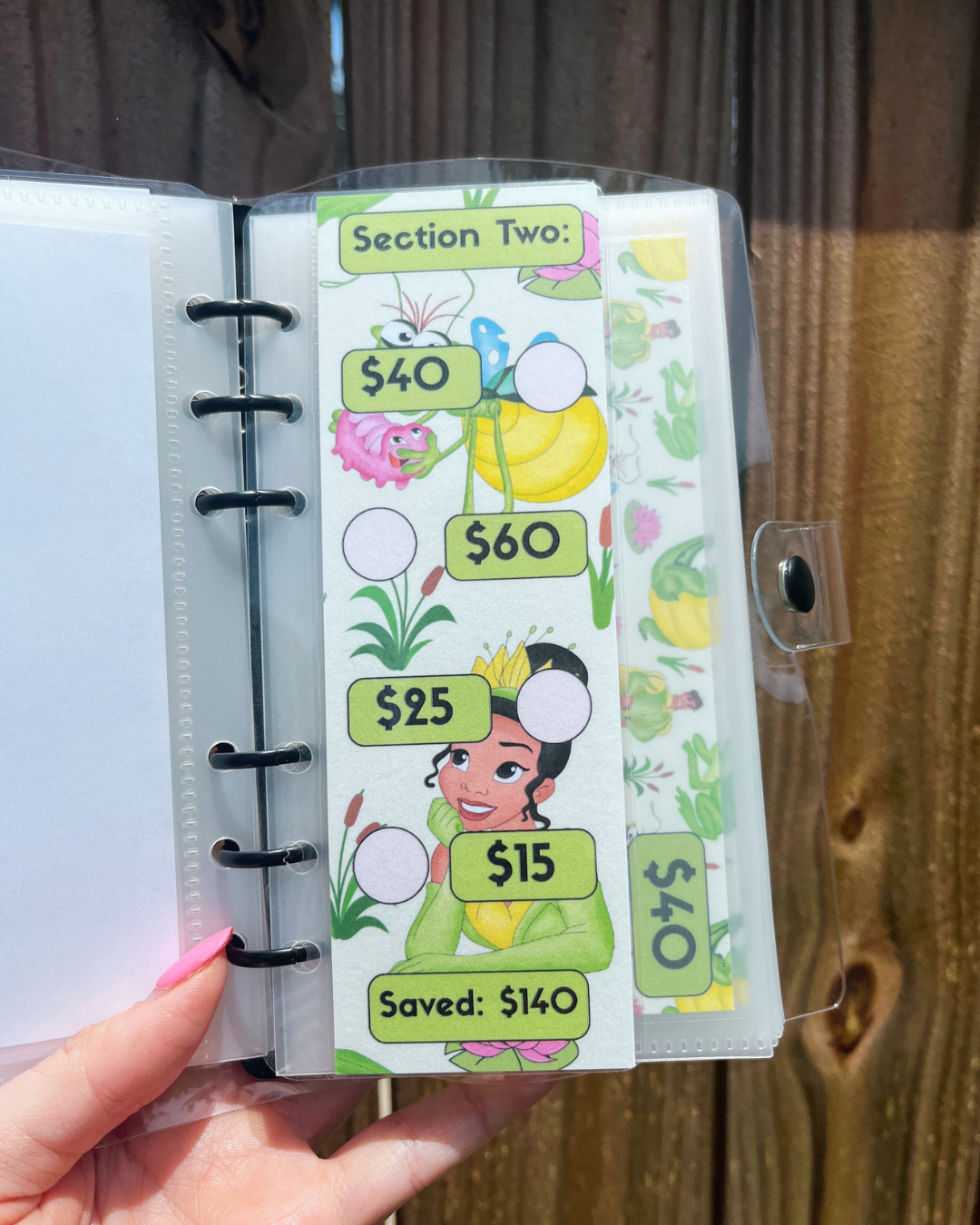 **LIMITED RELEASE** Princess & the Frog Savings