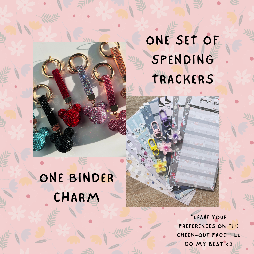 Cash Budgeting Blind Bags (FREE SHIPPING!)