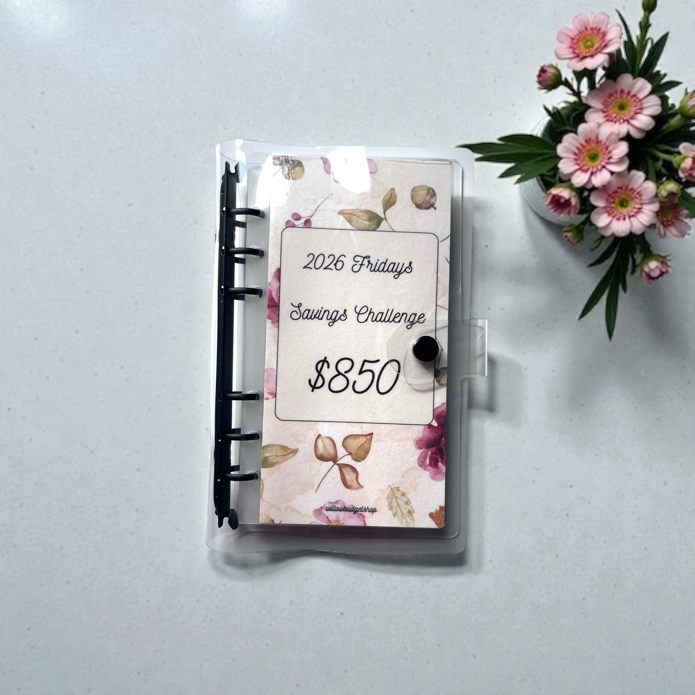 Every Friday Savings Challenge ($850)