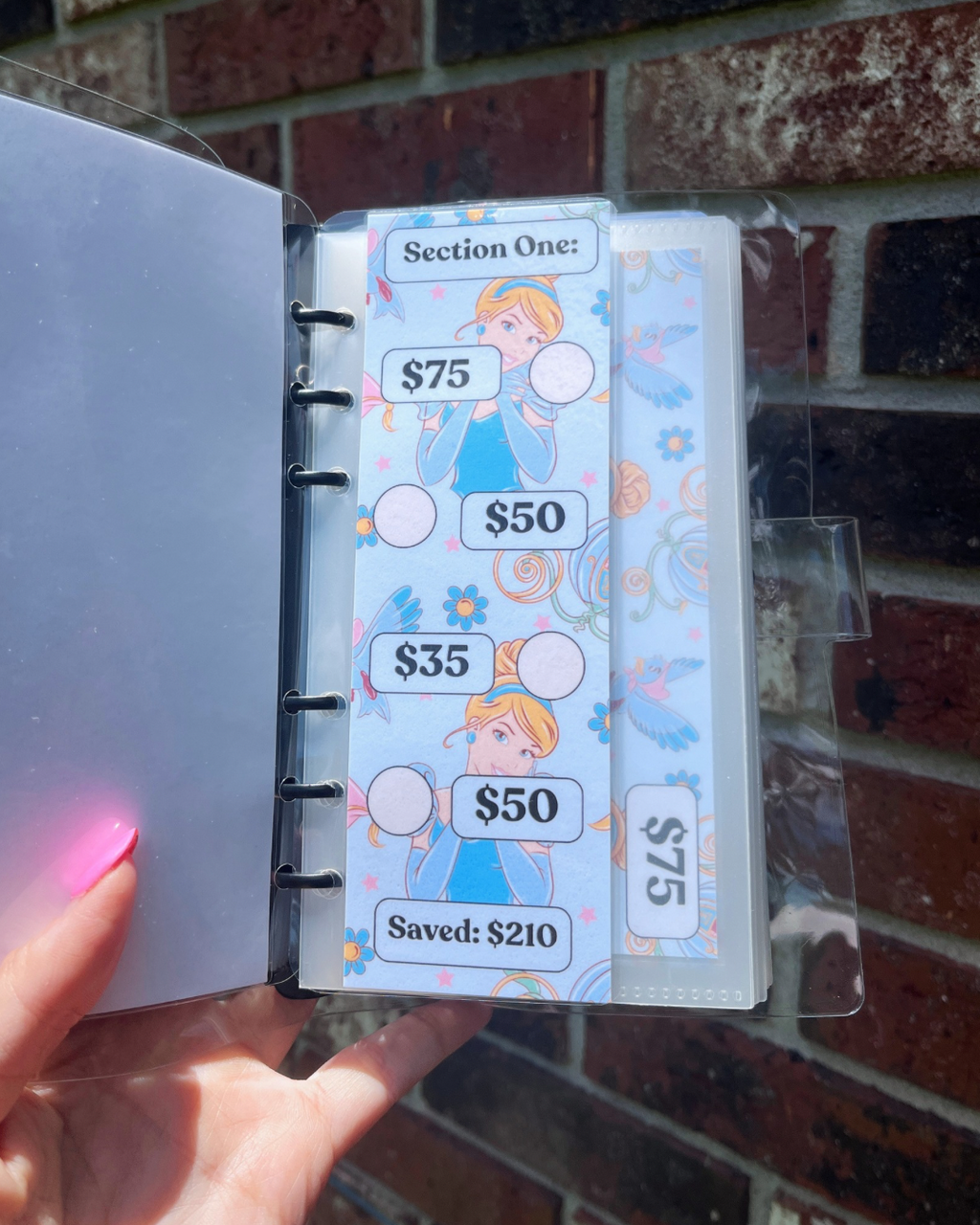 Cinderella Savings
