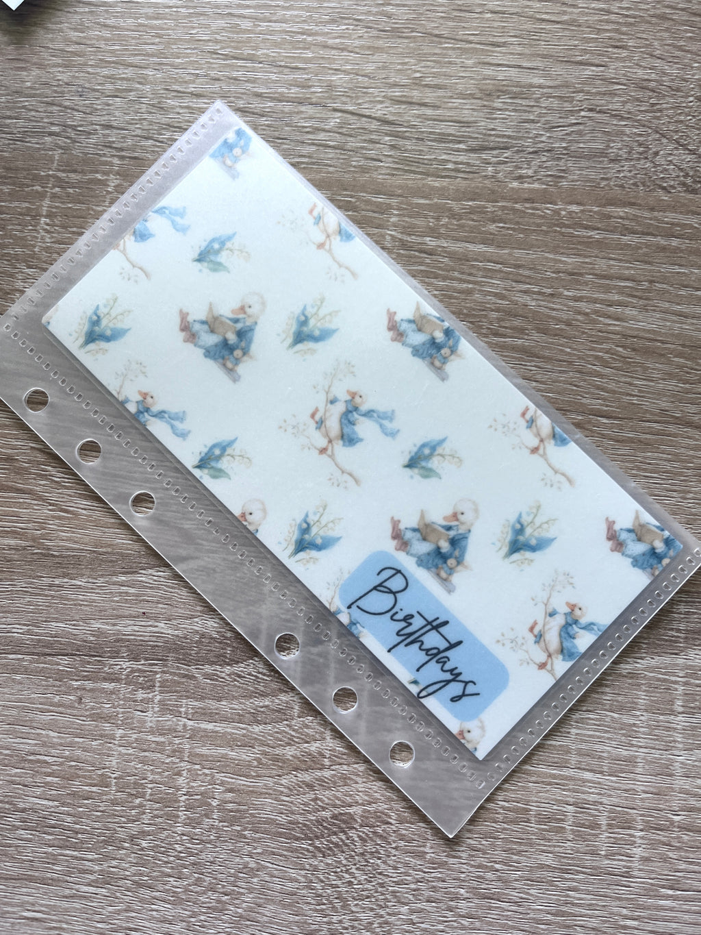 Imperfect Cash Envelopes/Inserts