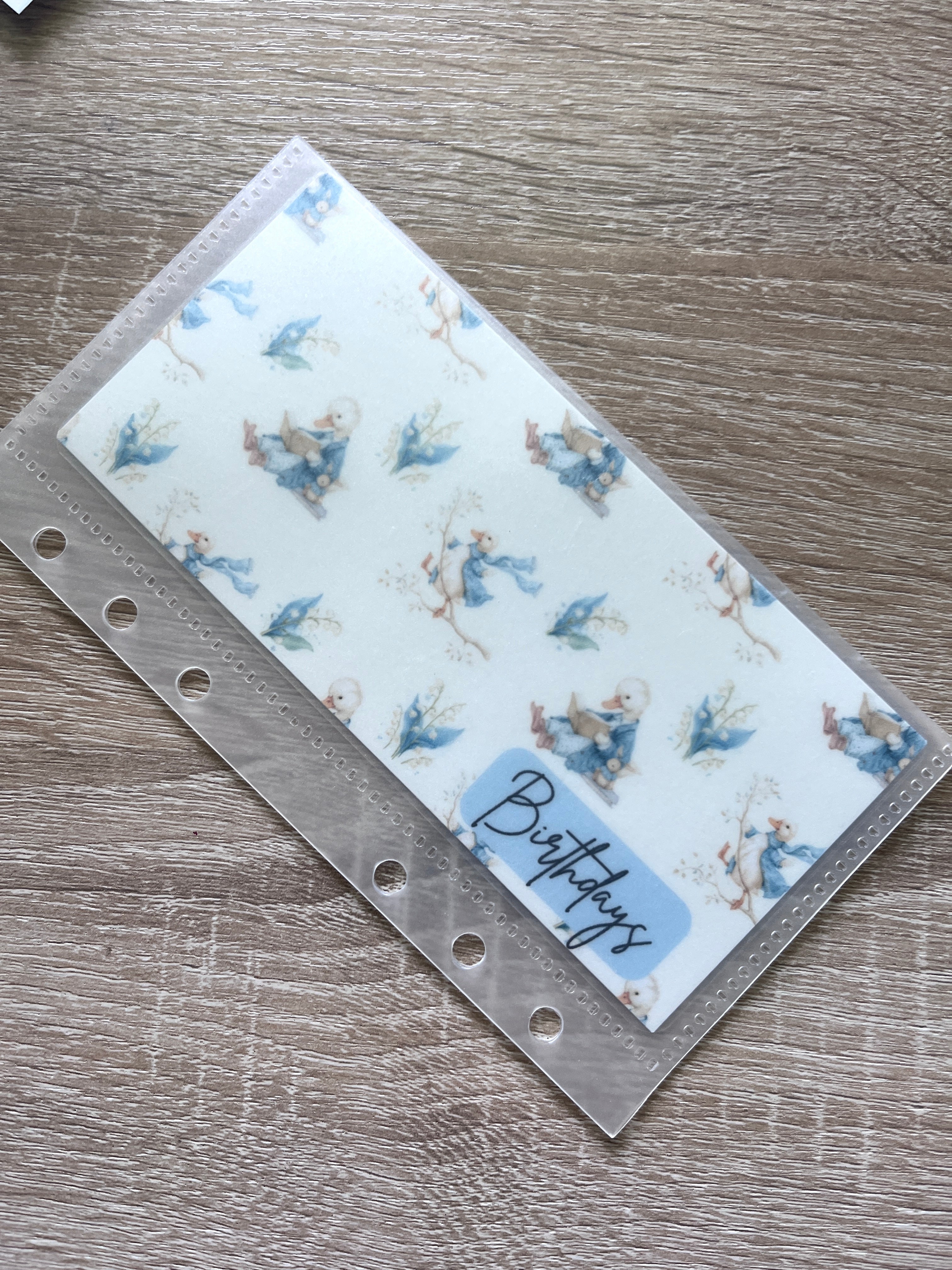 Imperfect Cash Envelopes/Inserts