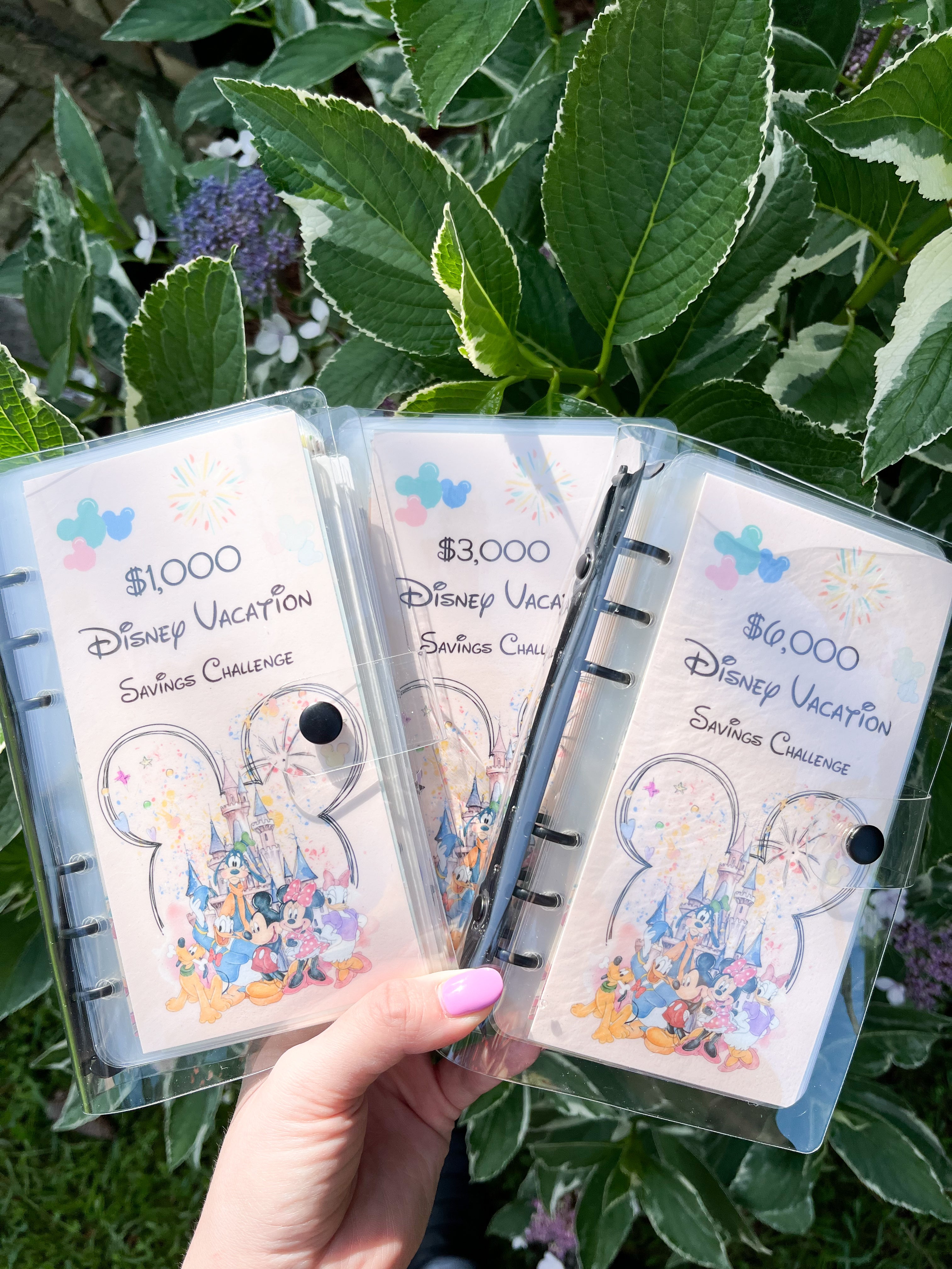 Disney Vacation Savings Challenge ($1K and $6k)