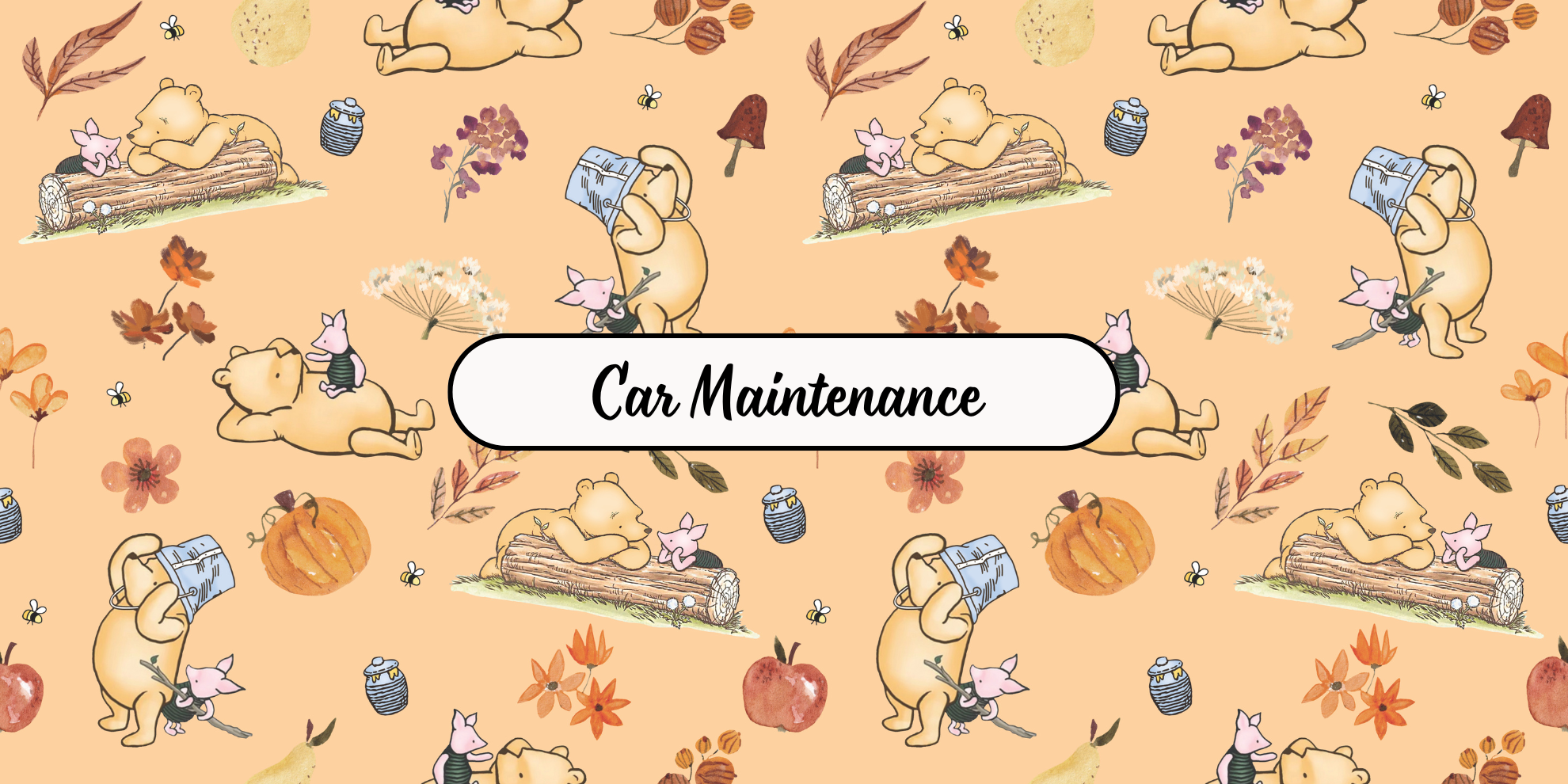 Autumn Winnie Cash Envelopes (bundle of 9)