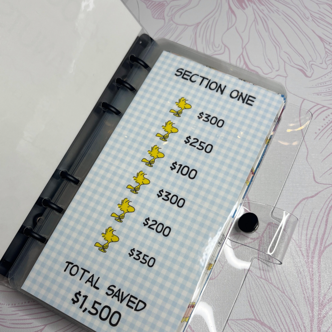 Charlie Brown Peanuts $6K Savings