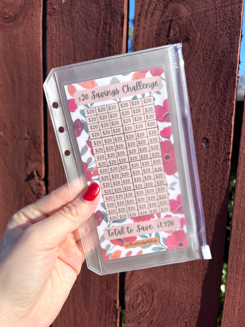 $20 Savings Challenge