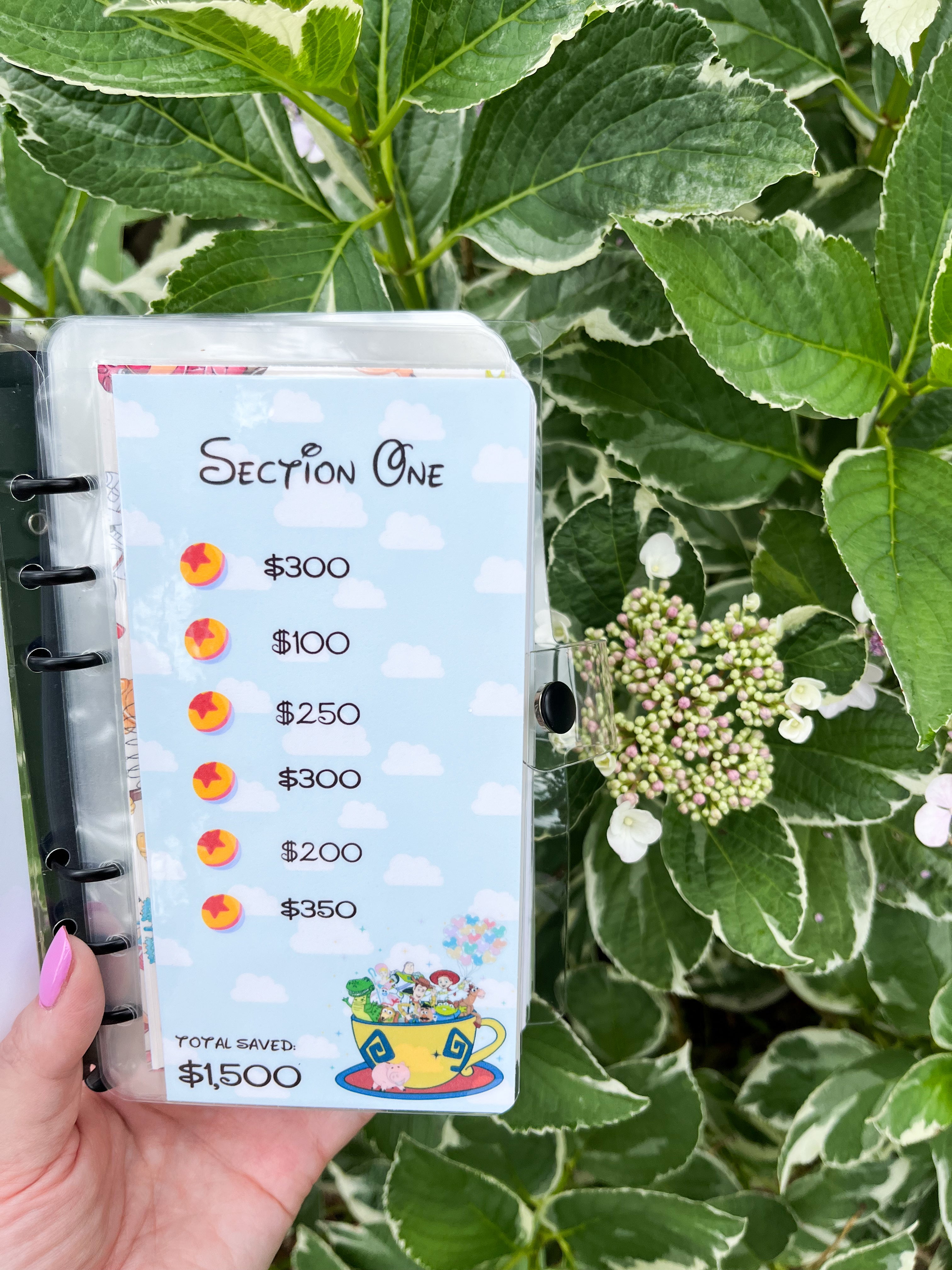 Disney Vacation Savings Challenge ($1K and $6k)