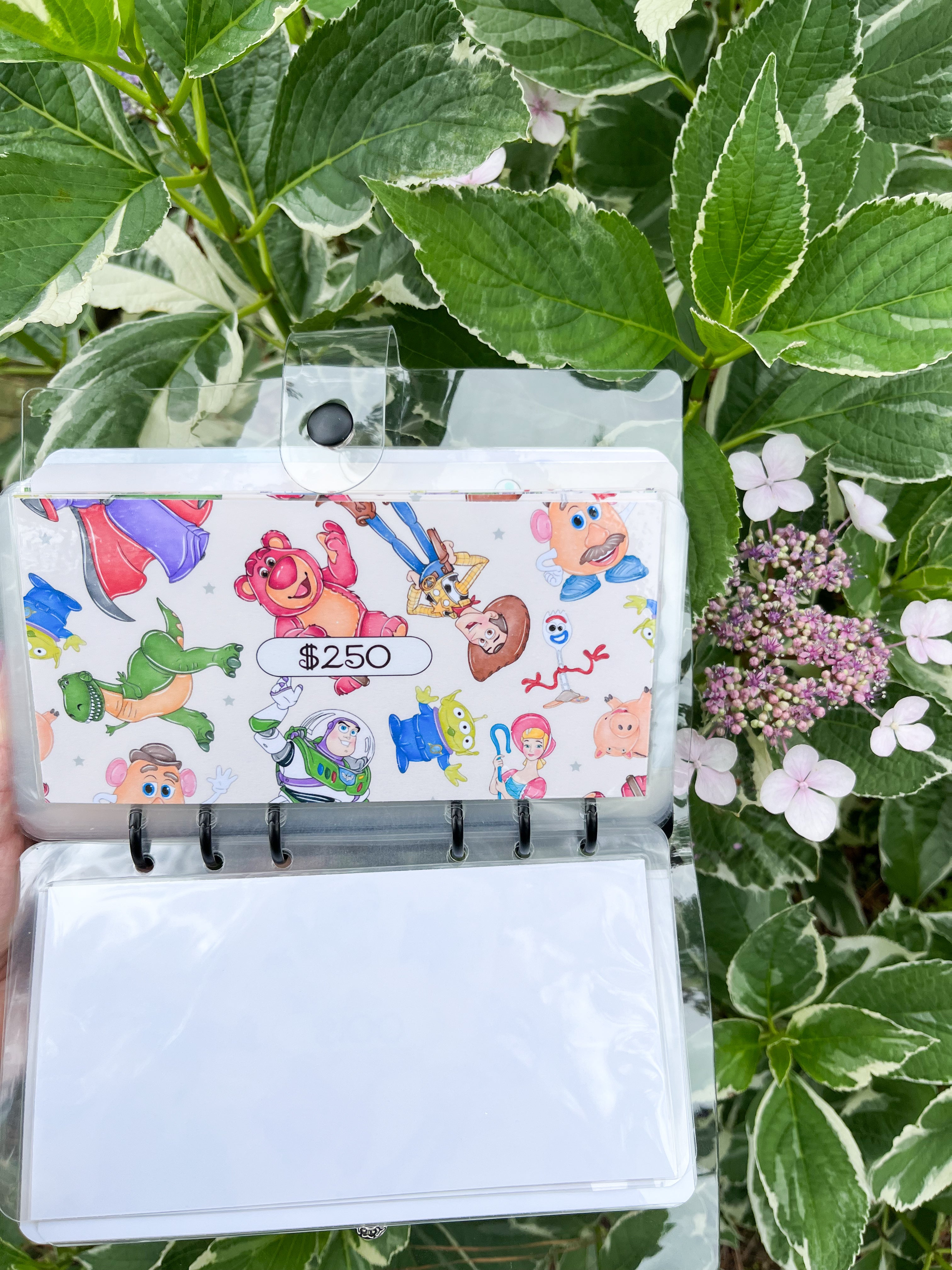 Disney Vacation Savings Challenge ($1K and $6k)