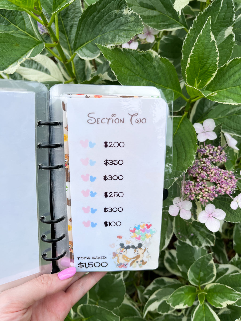 Disney Vacation Savings Challenge ($1K and $6k)