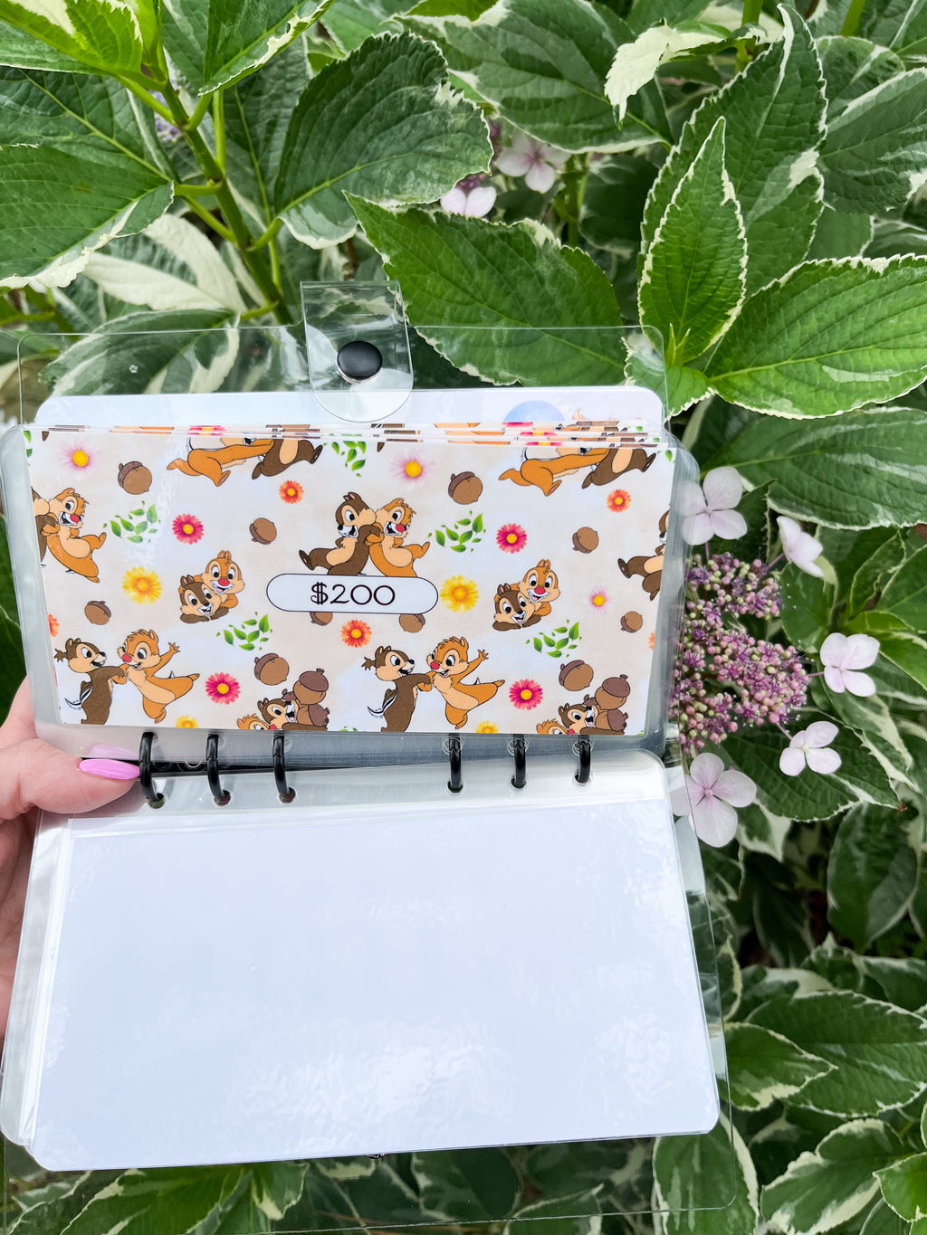 Disney Vacation Savings Challenge ($1K and $6k)