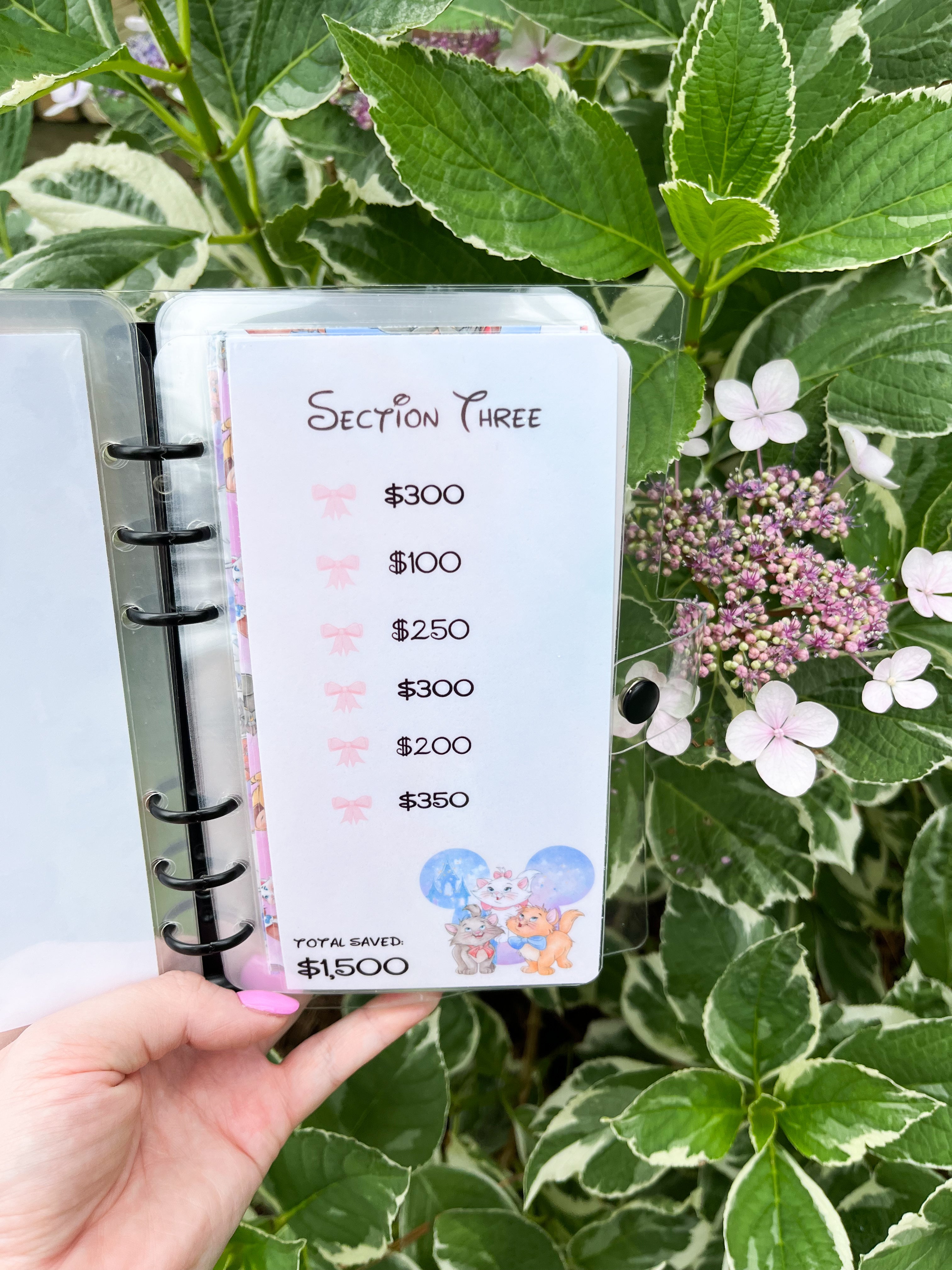 Disney Vacation Savings Challenge ($1K and $6k)