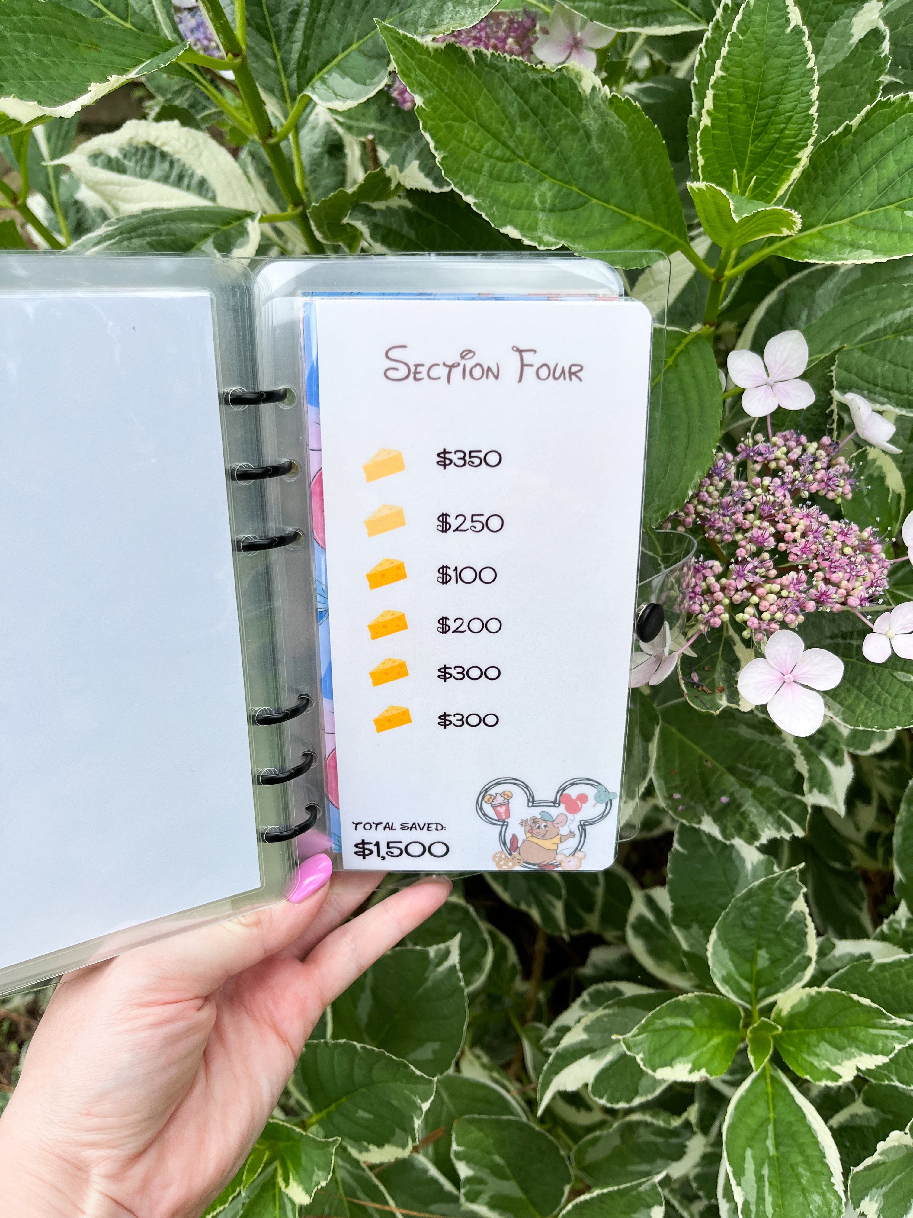 Disney Vacation Savings Challenge ($1K and $6k)