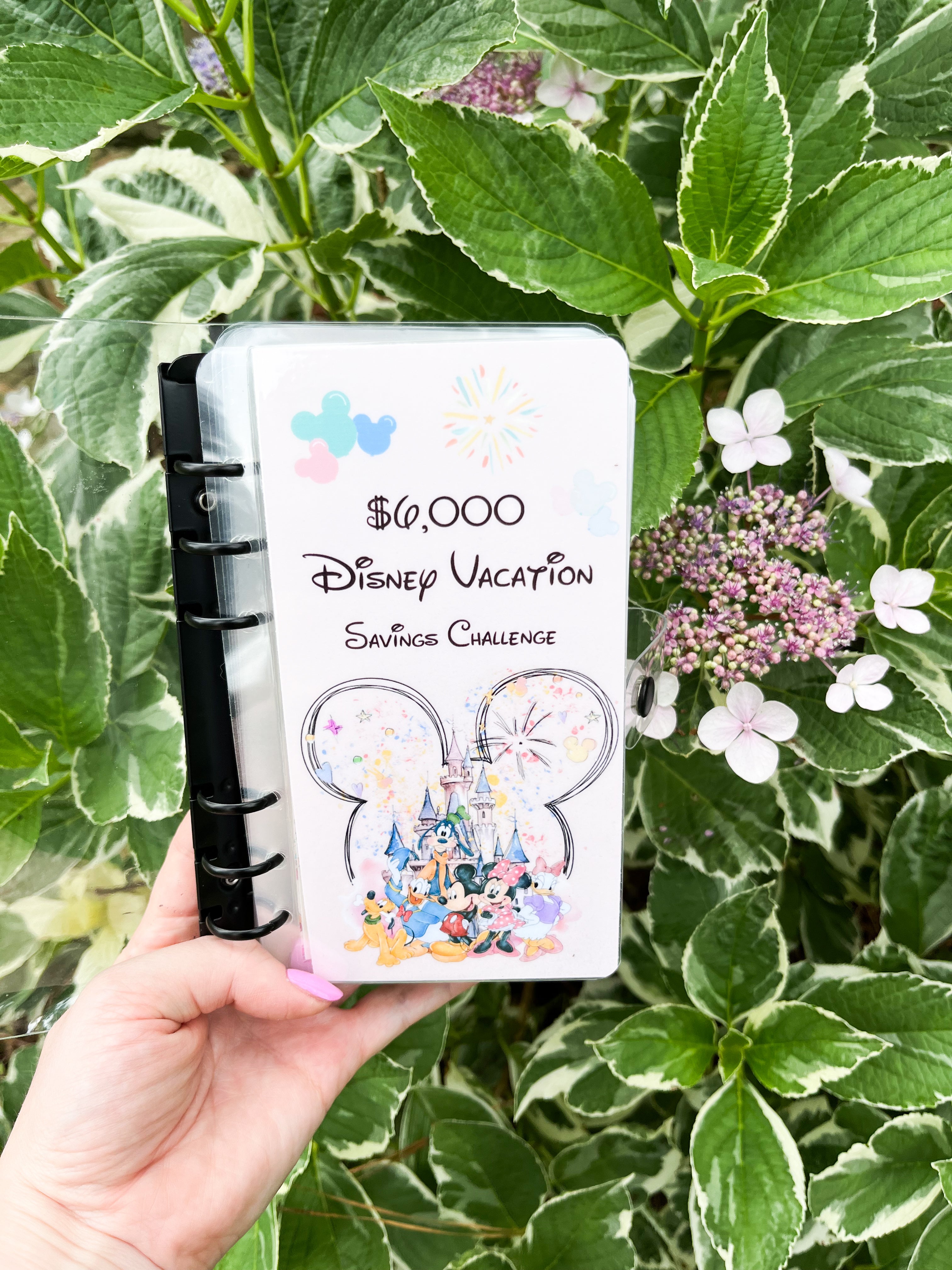Disney Vacation Savings Challenge ($1K and $6k)