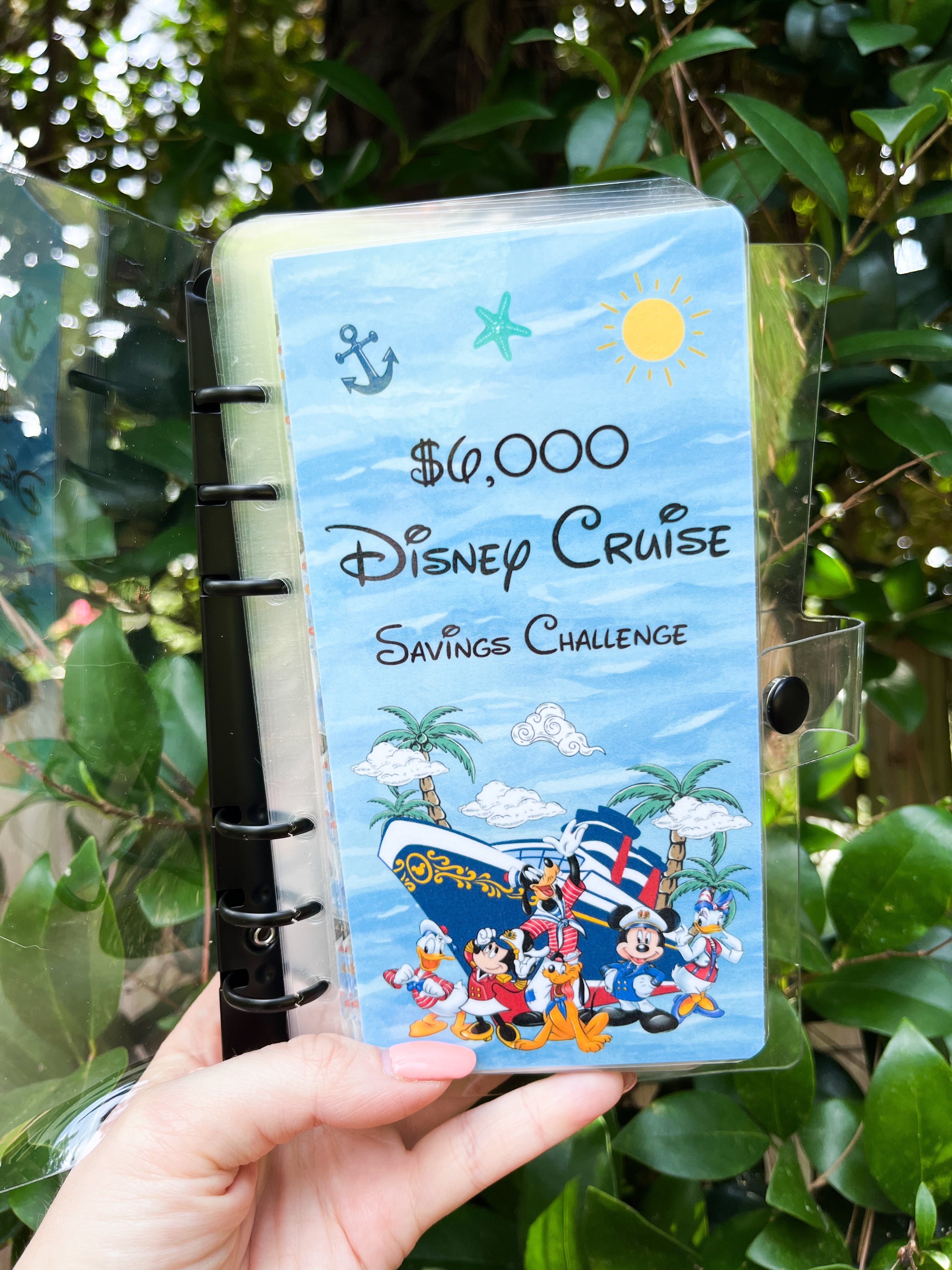 Disney Cruise Savings Challenge ($3K and $6K)