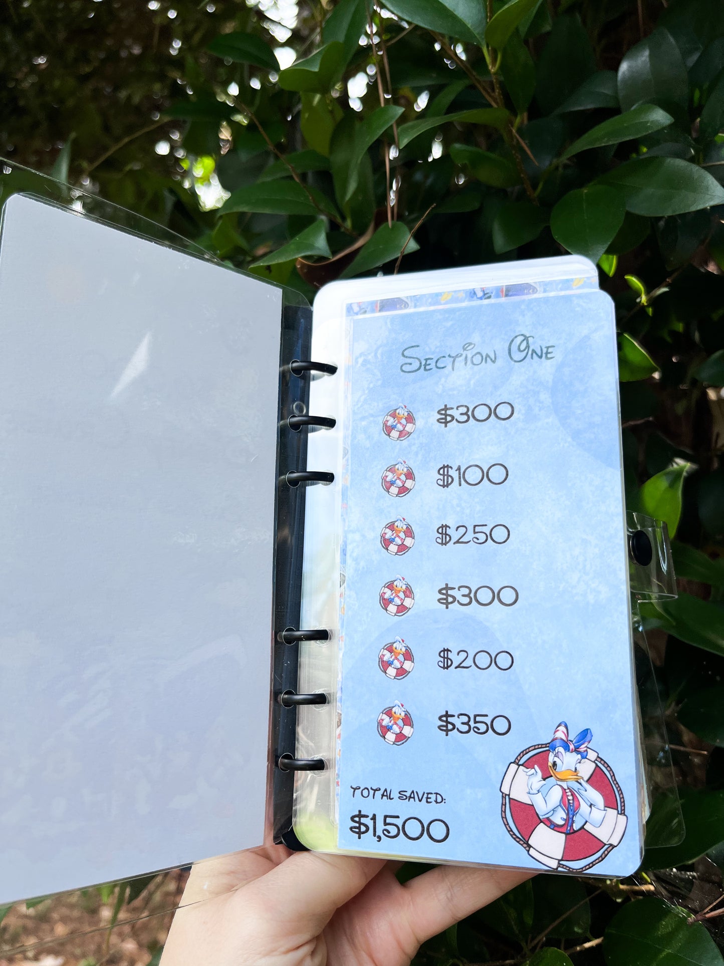 Disney Cruise Savings Challenge ($3K and $6K)