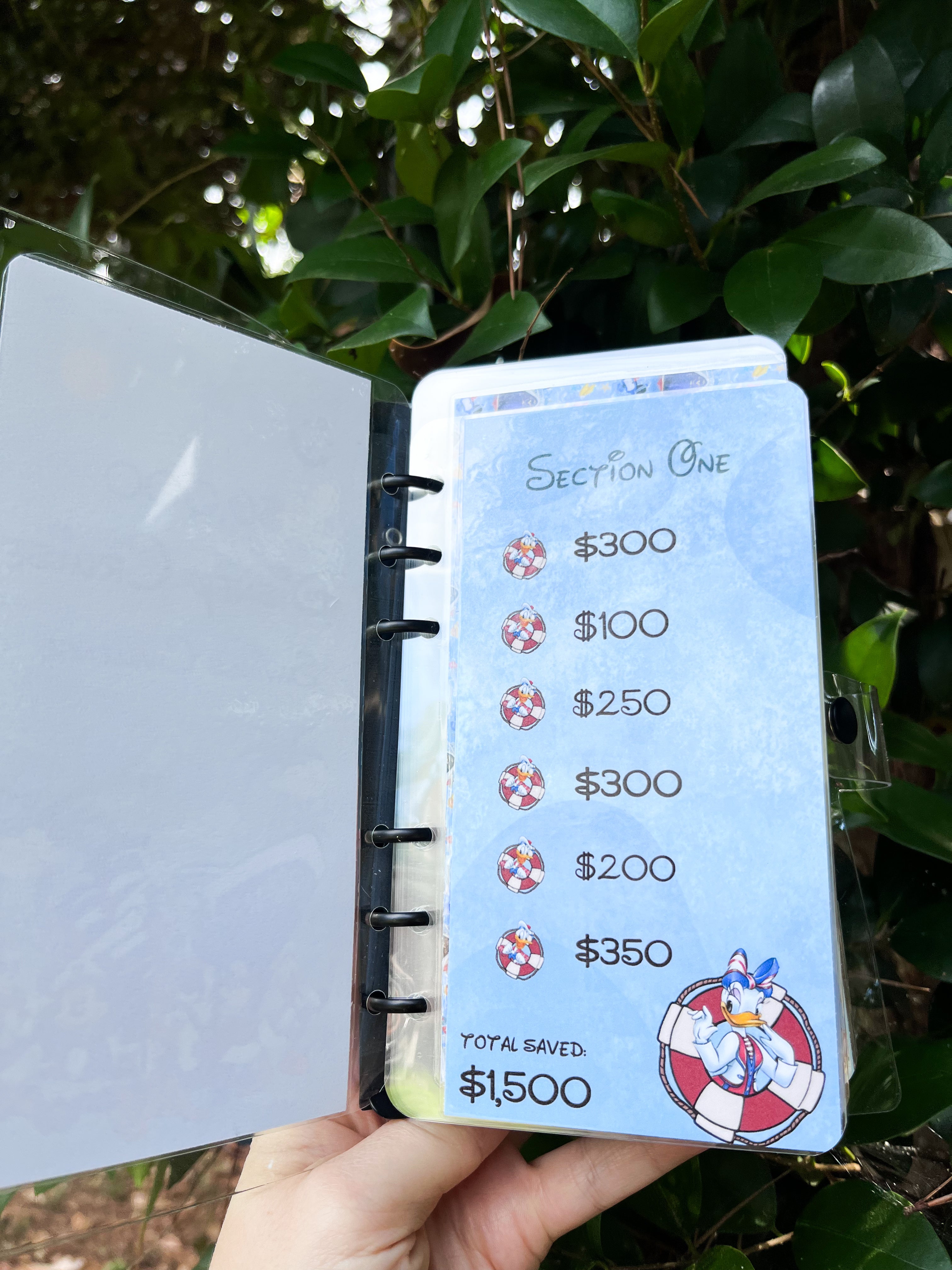 Disney Cruise Savings Challenge ($3K and $6K)