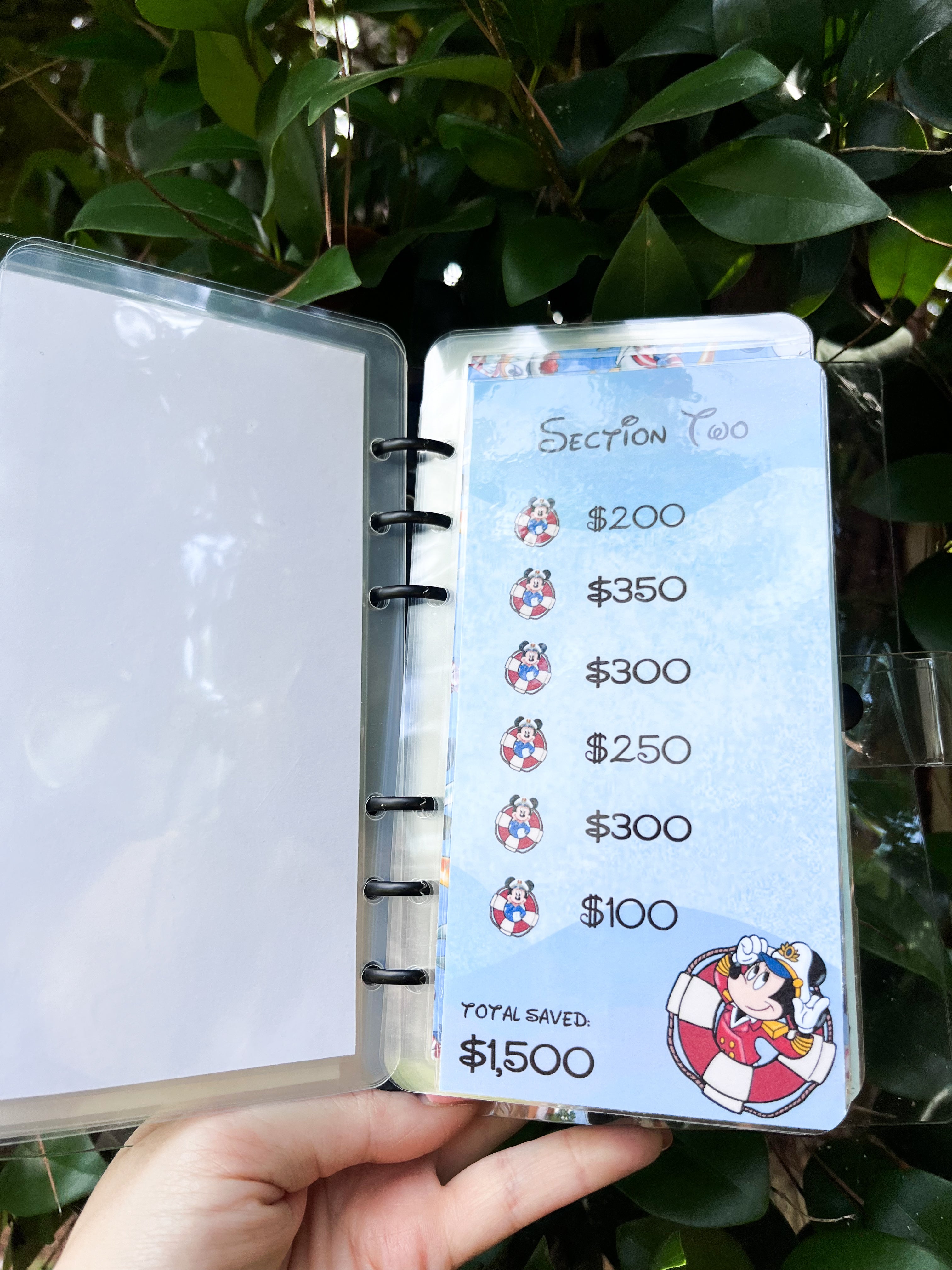 Disney Cruise Savings Challenge ($3K and $6K)