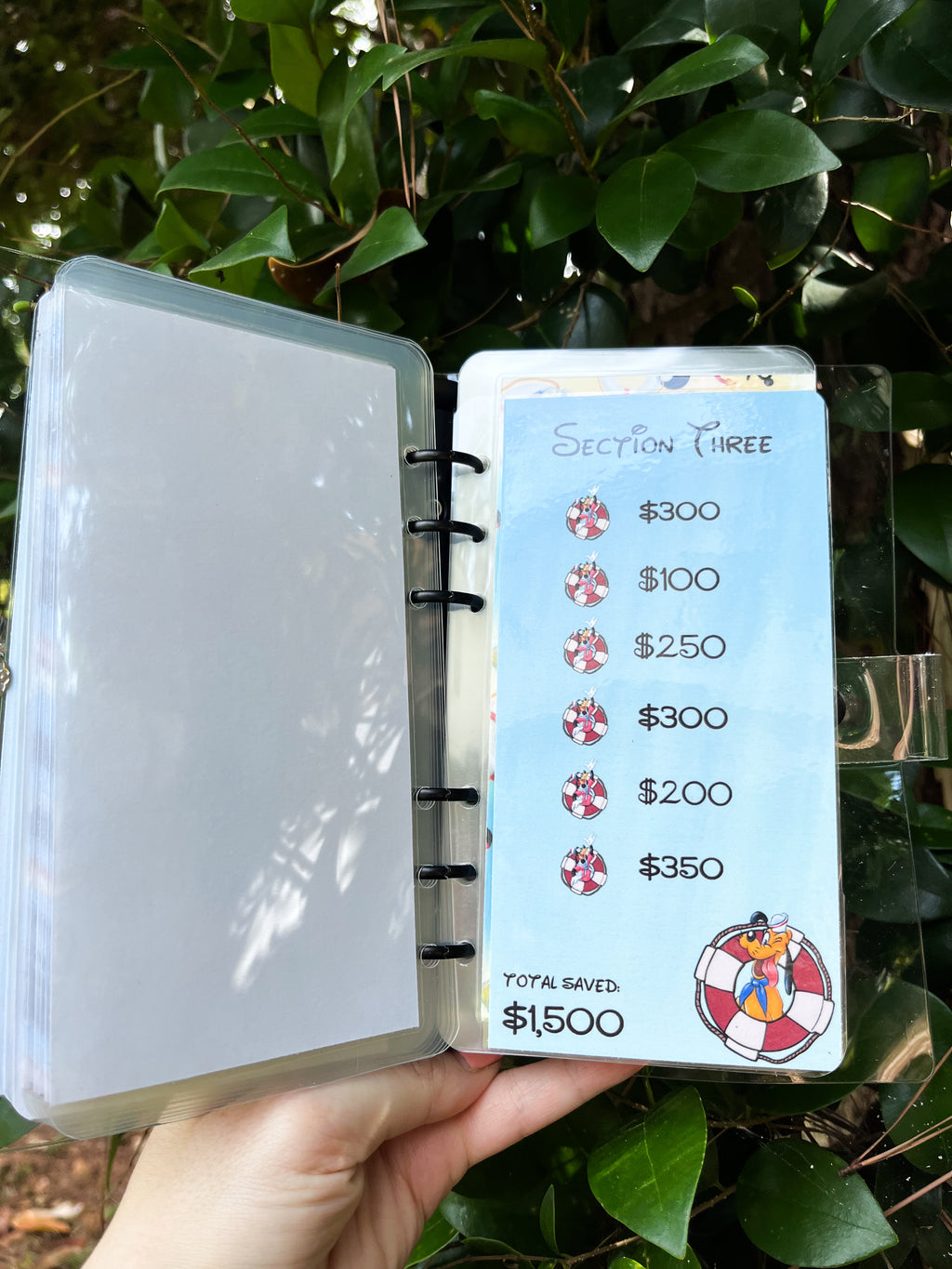 Disney Cruise Savings Challenge ($3K and $6K)
