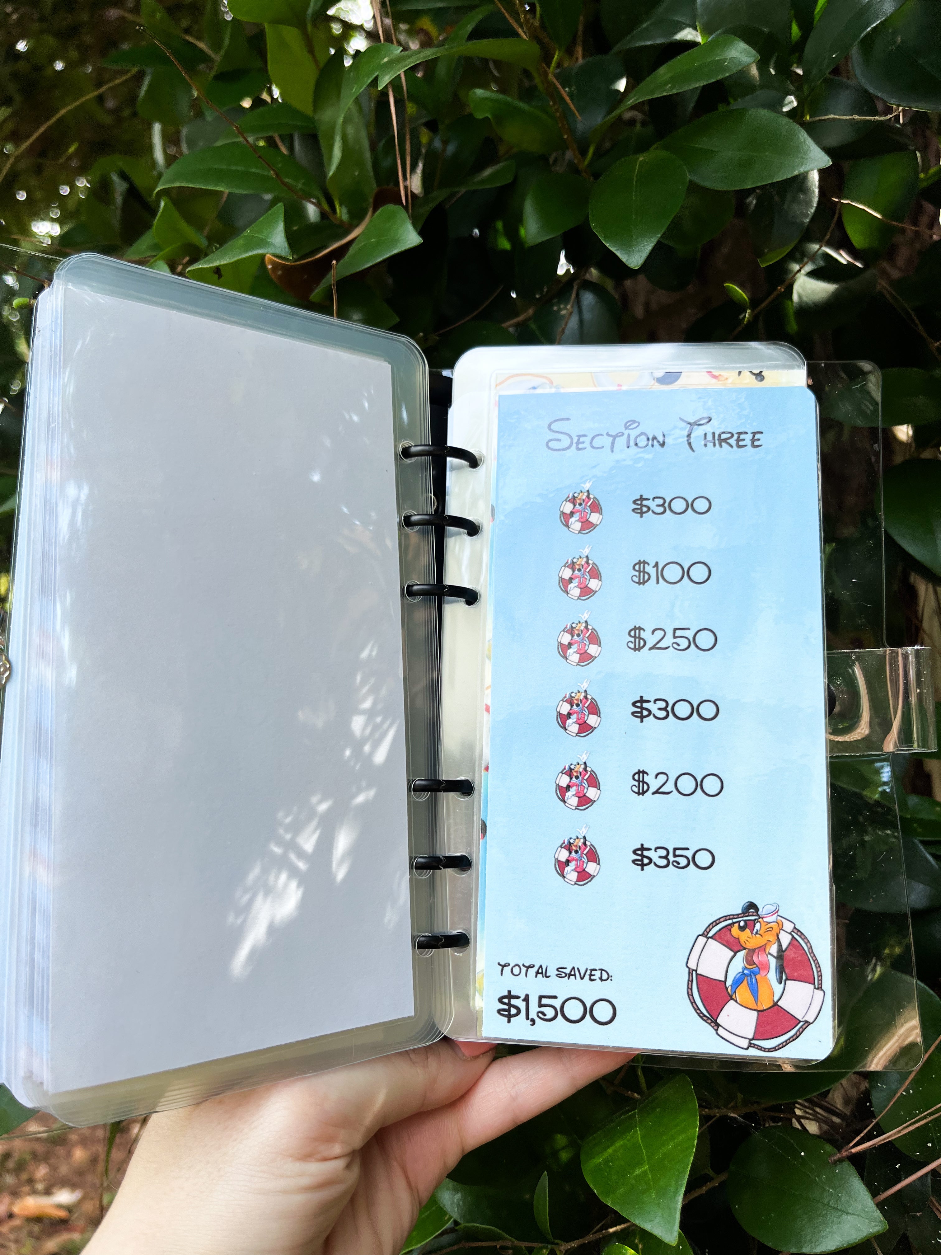 Disney Cruise Savings Challenge ($3K and $6K)