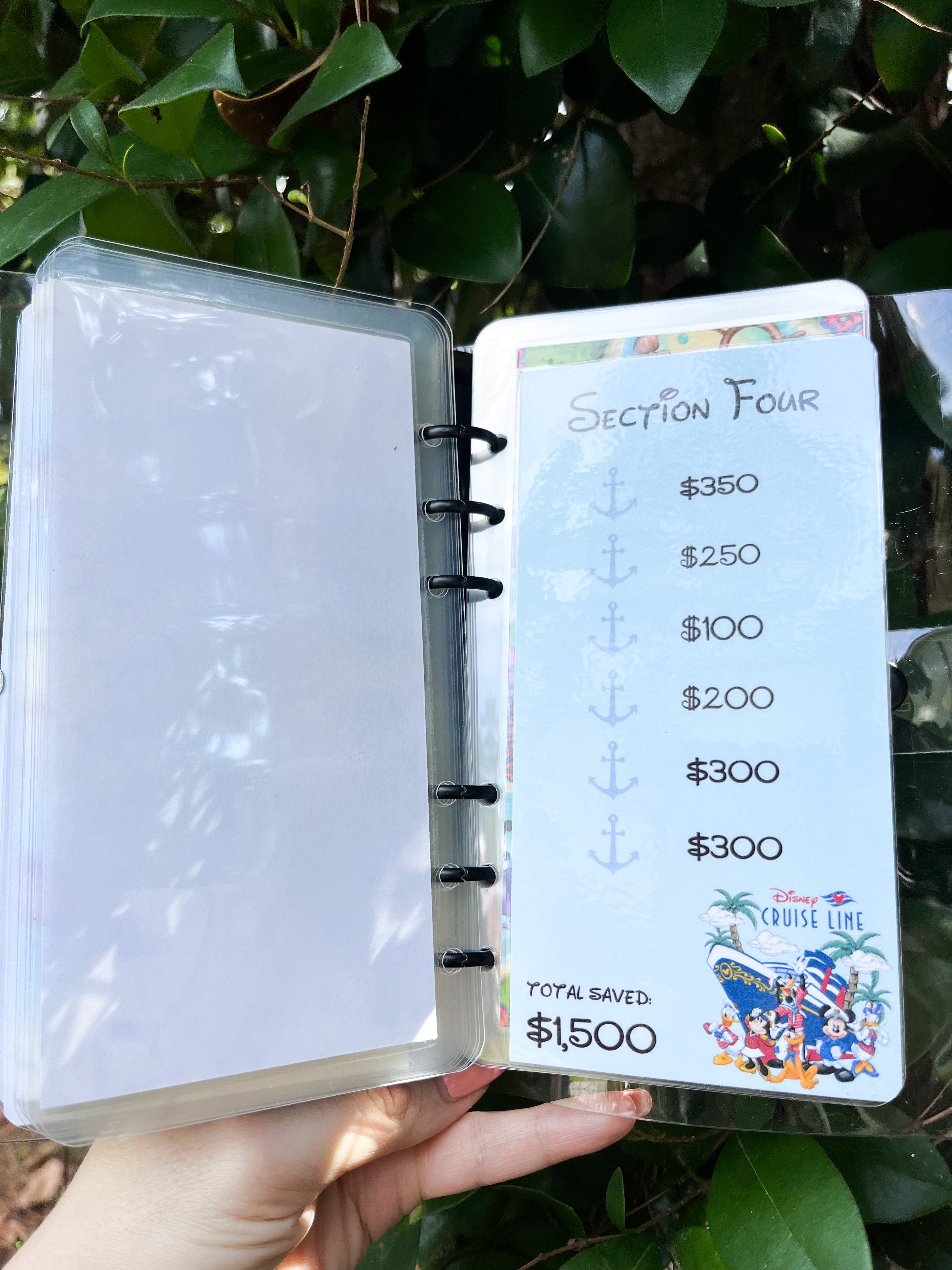 Disney Cruise Savings Challenge ($3K and $6K)