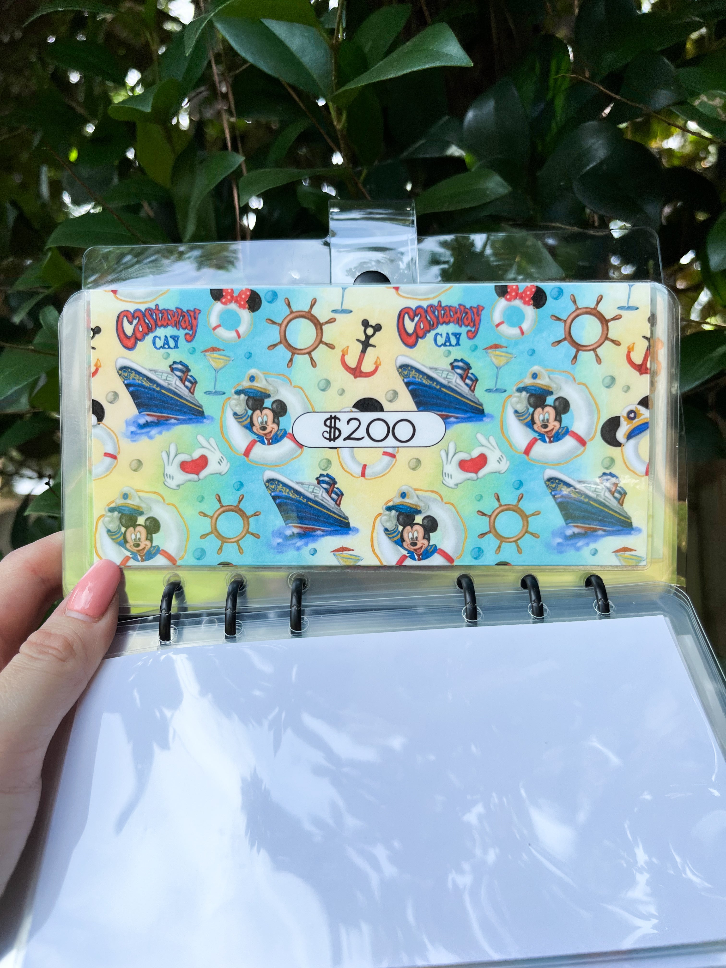 Disney Cruise Savings Challenge ($3K and $6K)