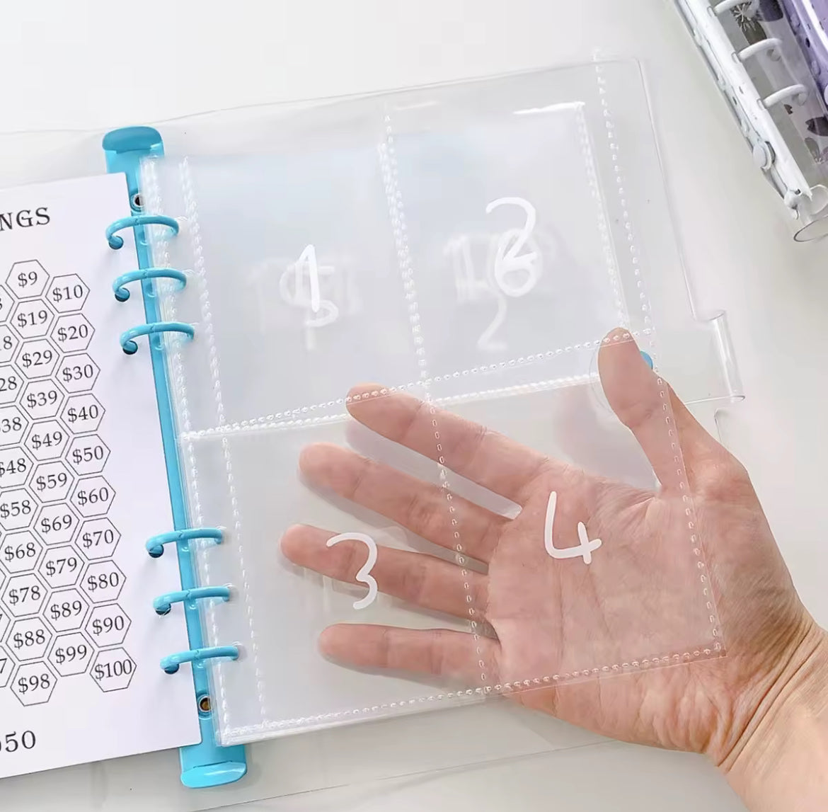 100 Envelopes Savings Challenge (3 Color Options)