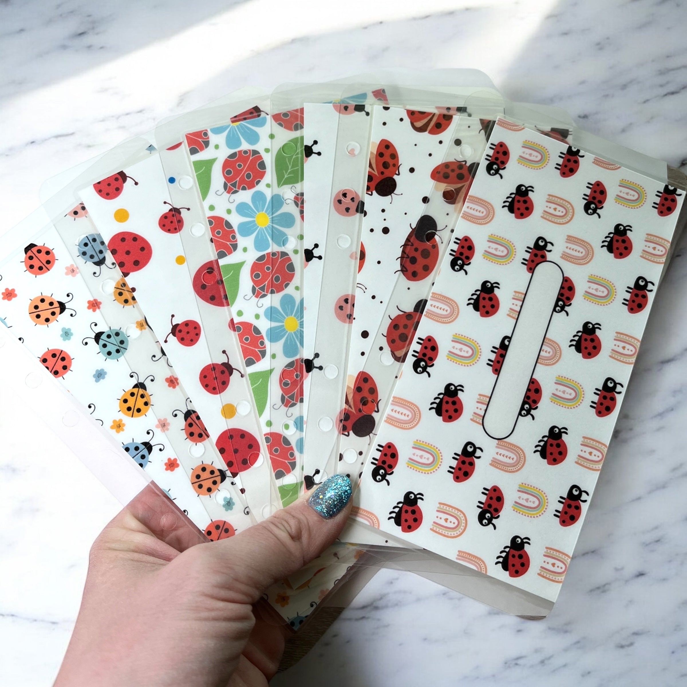 "Lucky Ladybugs" Cash Envelope Bundle