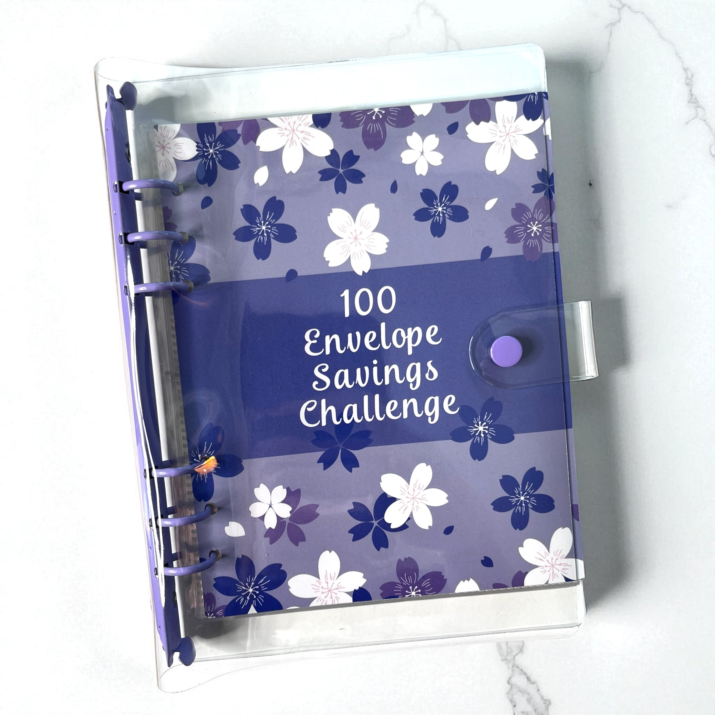 100 Envelopes Savings Challenge (3 Color Options)