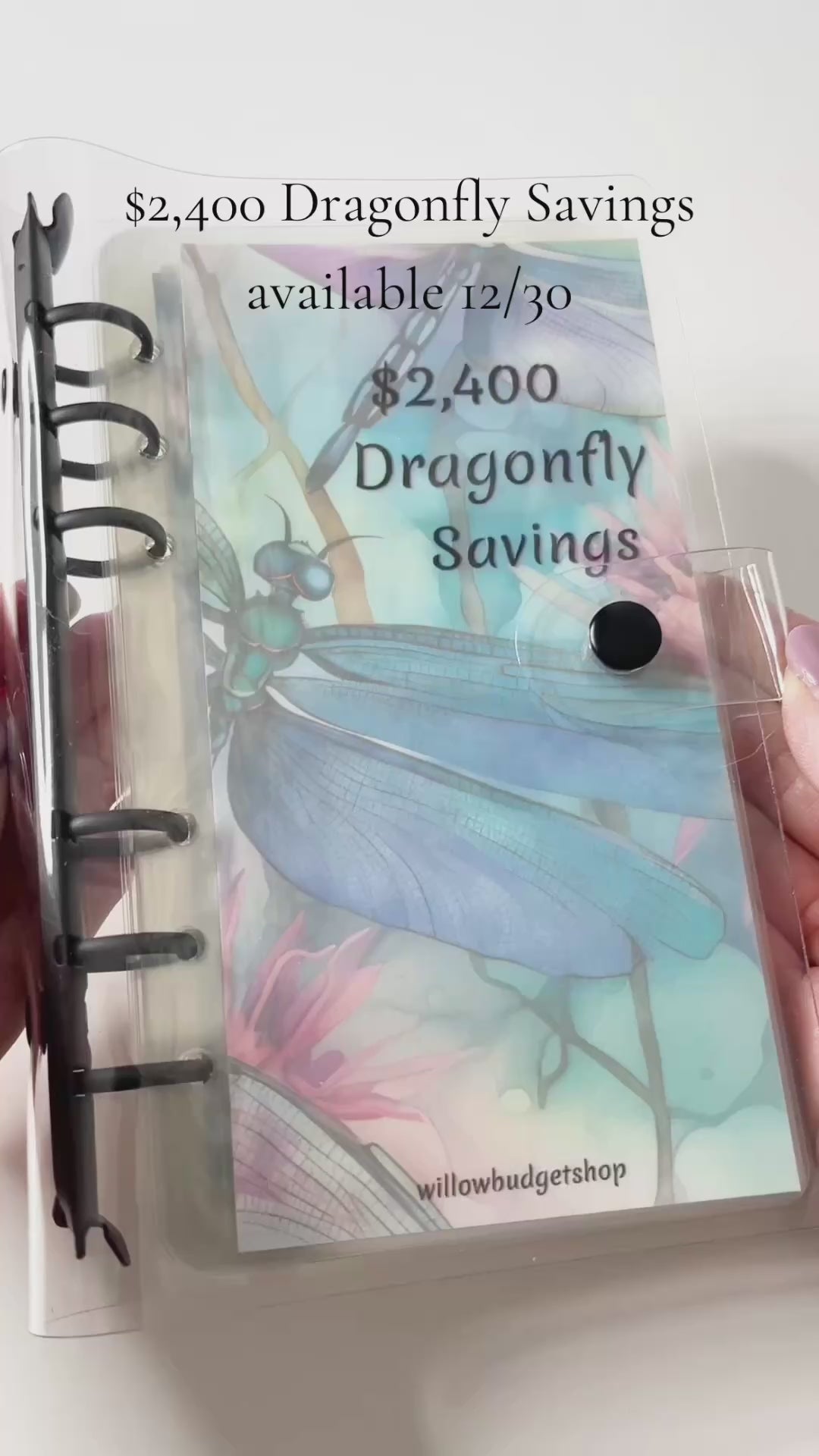 $2,400 Dragonfly Savings Challenge