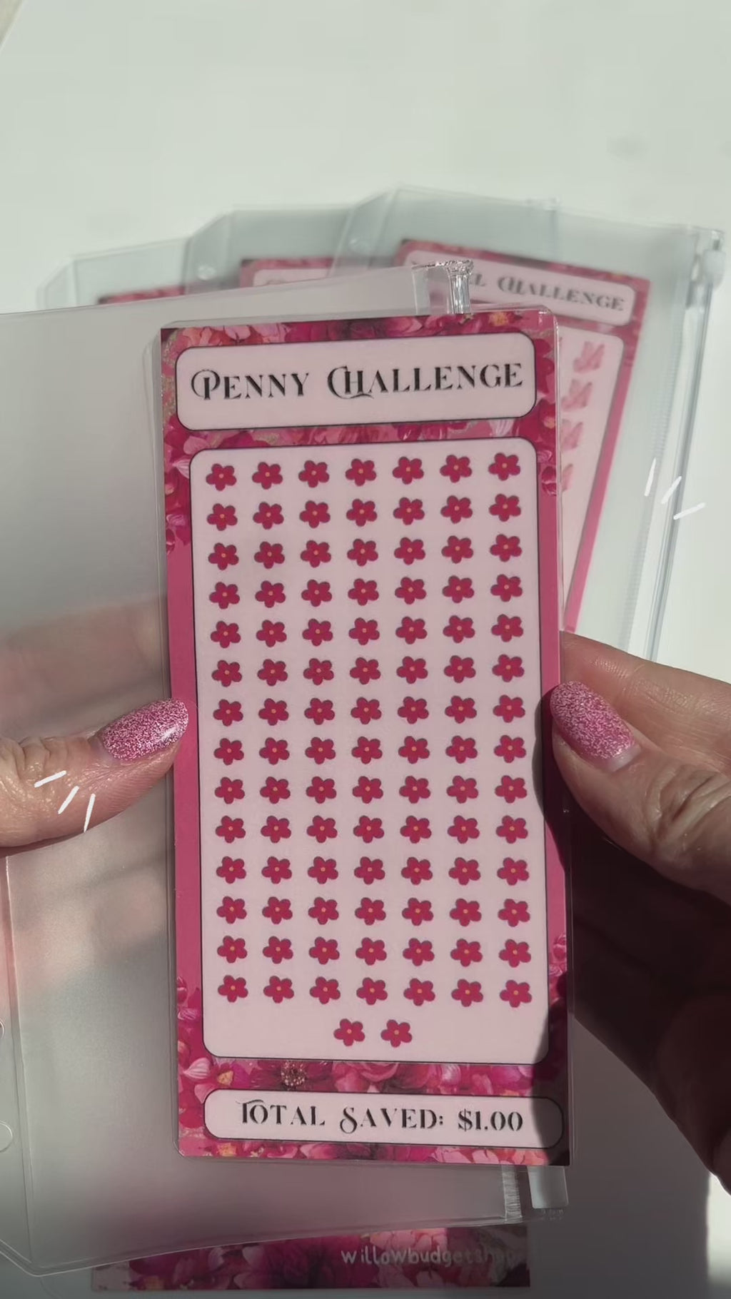 Coin Savings Challenge